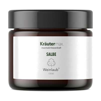 Sie sehen eine Packung Weinlaub Salbe 100 ml, Produktbild: 01 Weinlaub Salbe 100 ml, A-Nr.: 4319750 - 01
