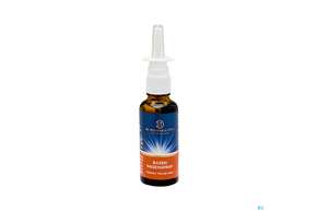 Nasenspray Lqa Basen Dr.ewald Toeth 30ml, A-Nr.: 2629239 - 01