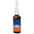 Nasenspray Lqa Basen Dr.ewald Toeth 30ml, A-Nr.: 2629239 - 02