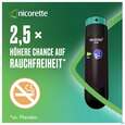 Sie sehen eine Packung Nicorette Spray 1mg/spruehstoss Z.anw.i.d.mundhoehle lösung Mint 2st, Produktbild: 04 Nicorette Spray 1mg/spruehstoss Z.anw.i.d.mundhoehle lösung Mint 2st, A-Nr.: 3916142 - 04
