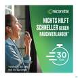 Sie sehen eine Packung Nicorette Spray 1mg/spruehstoss Z.anw.i.d.mundhoehle lösung Mint 2st, Produktbild: 07 Nicorette Spray 1mg/spruehstoss Z.anw.i.d.mundhoehle lösung Mint 2st, A-Nr.: 3916142 - 07
