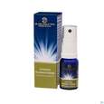 Sie sehen eine Packung Pflanzenextrakt Dr Ewald Toeth Lqa Atemun 10ml, Produktbild: 01 Pflanzenextrakt Dr Ewald Toeth Lqa Atemun 10ml, A-Nr.: 2629268 - 01