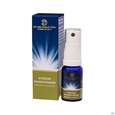 Sie sehen eine Packung Pflanzenextrakt Dr Ewald Toeth Lqa Atemun 10ml, Produktbild: 03 Pflanzenextrakt Dr Ewald Toeth Lqa Atemun 10ml, A-Nr.: 2629268 - 03