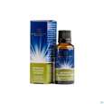 Sie sehen eine Packung Pflanzenextrakt Dr Ewald Toeth Lqa Microvita 10ml, Produktbild: 01 Pflanzenextrakt Dr Ewald Toeth Lqa Microvita 10ml, A-Nr.: 2629127 - 01