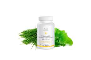 Sie sehen eine Packung Wassernabel Ackerschachtelhalm Kapseln, Produktbild: 01 Wassernabel Ackerschachtelhalm Kapseln, A-Nr.: 4488582 - 01