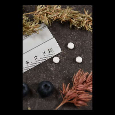 Sie sehen eine Packung Supplementa Vitamin D3 1000 i.E. ActivMelt Tabletten, Produktbild: 05 Supplementa Vitamin D3 1000 i.E. ActivMelt Tabletten, A-Nr.: 5597741 - 05