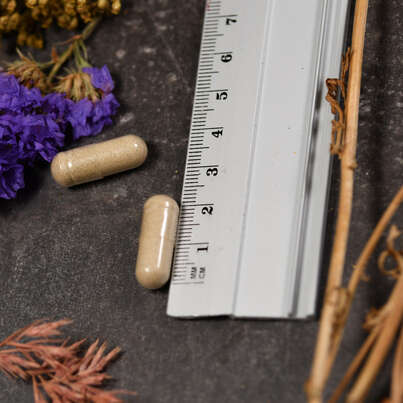 Sie sehen eine Packung Supplementa Vitamin C 500 mg Super Bio, verz. Abgabe Kapseln, Produktbild: 05 Supplementa Vitamin C 500 mg Super Bio, verz. Abgabe Kapseln, A-Nr.: 5597876 - 05