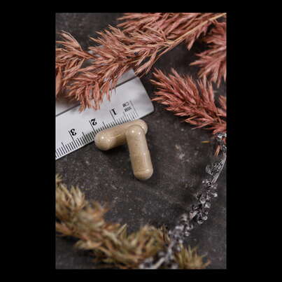 Sie sehen eine Packung Supplementa Vitamin C 1000 mg Super Bio, verz. Abgabe Kapseln, Produktbild: 04 Supplementa Vitamin C 1000 mg Super Bio, verz. Abgabe Kapseln, A-Nr.: 5574846 - 04