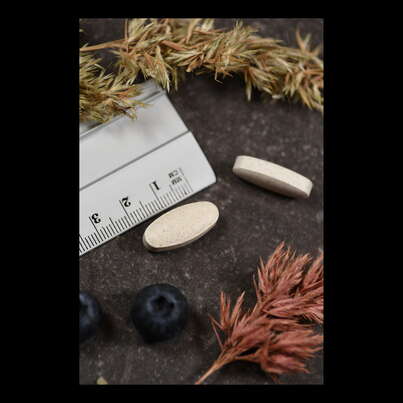 Sie sehen eine Packung Supplementa Vitamin C 1000 Plus Retardtabletten, Produktbild: 04 Supplementa Vitamin C 1000 Plus Retardtabletten, A-Nr.: 5396391 - 04