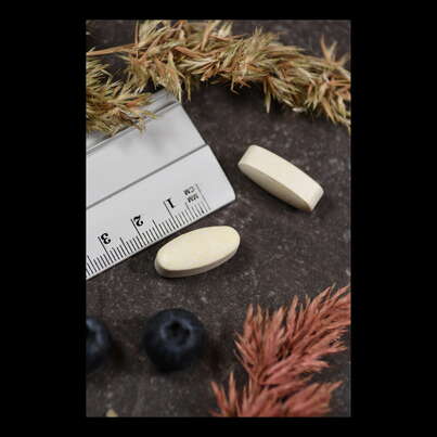 Sie sehen eine Packung Supplementa C 1000 Buffered Acid free säurefrei Tabletten, Produktbild: 04 Supplementa C 1000 Buffered Acid free säurefrei Tabletten, A-Nr.: 5396103 - 04