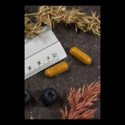 Sie sehen eine Packung Supplementa Total Cleanse Uric Acid Kapseln, Produktbild: 04 Supplementa Total Cleanse Uric Acid Kapseln, A-Nr.: 5574711 - 04