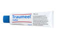 Sie sehen eine Packung Traumeel®-Salbe, Produktbild: 02 Traumeel®-Salbe, A-Nr.: 0928742 - 02