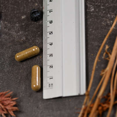 Sie sehen eine Packung Supplementa Tribulus Extrakt Kapseln, Produktbild: 04 Supplementa Tribulus Extrakt Kapseln, A-Nr.: 5574734 - 04