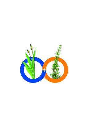 Sie sehen eine Packung Tavituss Hustensirup, Produktbild: 02 Tavituss Hustensirup, A-Nr.: 4455418 - 02