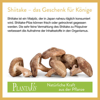 Shiitake Pulver 190g, A-Nr.: 4547014 - 04