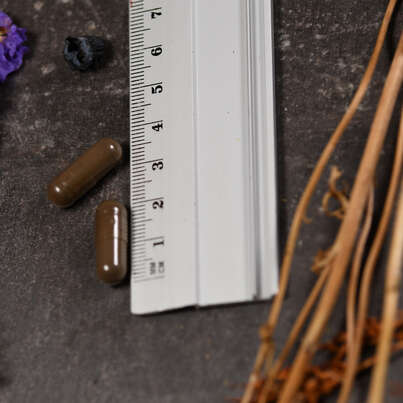 Sie sehen eine Packung Supplementa Schwarze Walnussschale Kapseln, Produktbild: 04 Supplementa Schwarze Walnussschale Kapseln, A-Nr.: 5574562 - 04