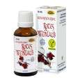 Espara Rotes Weinlaub Alchemistische Essenz 30ml, A-Nr.: 4040120 - 02