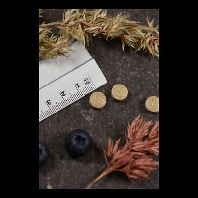 Sie sehen eine Packung Supplementa Rutin 250mg Tabletten, Produktbild: 04 Supplementa Rutin 250mg Tabletten, A-Nr.: 5395440 - 04