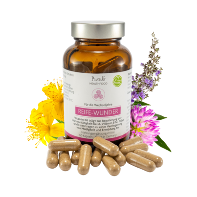 Sie sehen eine Packung Reife- Wunder - Für die Wechseljahre, Produktbild: 01 Reife- Wunder - Für die Wechseljahre, A-Nr.: 5744509 - 01