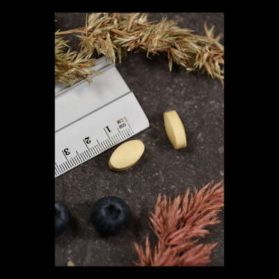 Supplementa P-5-P (Pyridoxal-5-Phosphat) 20 mg Tabletten, A-Nr.: 5396333 - 04