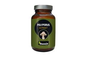 Hanoju Polyporus Pilz Extrakt Tabletten 400mg, A-Nr.: 4256222 - 01
