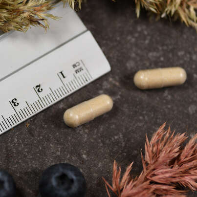 Sie sehen eine Packung Supplementa Pro Digest Kapseln, Produktbild: 05 Supplementa Pro Digest Kapseln, A-Nr.: 5596523 - 05