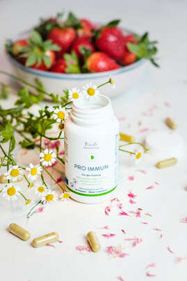 Sie sehen eine Packung Pro Immun Kapseln, Produktbild: 03 Pro Immun Kapseln, A-Nr.: 4488518 - 03