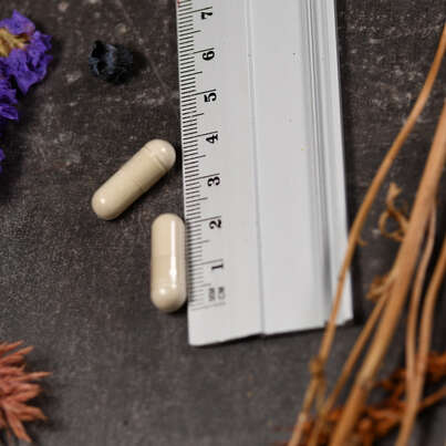 Sie sehen eine Packung Supplementa Okra 400 mg Kapseln, Produktbild: 04 Supplementa Okra 400 mg Kapseln, A-Nr.: 5574355 - 04