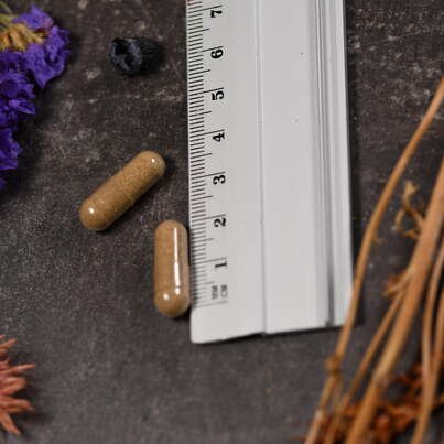 Sie sehen eine Packung Supplementa Olivenblattextrakt 250 mg Kapseln, Produktbild: 04 Supplementa Olivenblattextrakt 250 mg Kapseln, A-Nr.: 5574361 - 04