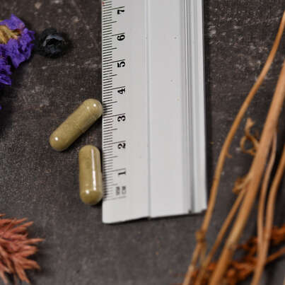 Sie sehen eine Packung Supplementa Neem-Blätter 400 mg Kapseln, Produktbild: 04 Supplementa Neem-Blätter 400 mg Kapseln, A-Nr.: 5574326 - 04