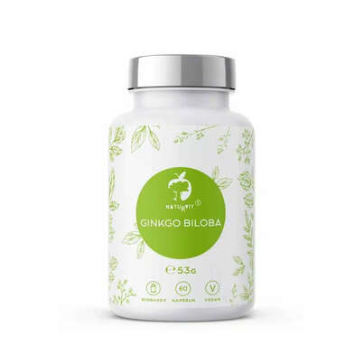 Sie sehen eine Packung Naturvit® Ginkgo Biloba, Produktbild: 01 Naturvit® Ginkgo Biloba, A-Nr.: 5717760 - 01