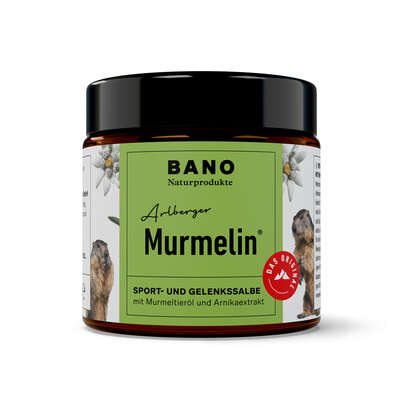 Sie sehen eine Packung Arlberger Murmelin Sport- und Gelenkssalbe 100ml, Produktbild: 01 Arlberger Murmelin Sport- und Gelenkssalbe 100ml, A-Nr.: 5075304 - 01