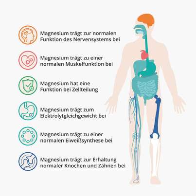 Casida Magnesiumcitrat Kapseln Vital, A-Nr.: 4895732 - 02