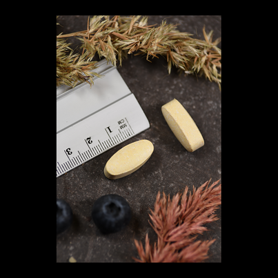 Sie sehen eine Packung Supplementa Magnesium 500 mg Tabletten, Produktbild: 05 Supplementa Magnesium 500 mg Tabletten, A-Nr.: 5598427 - 05