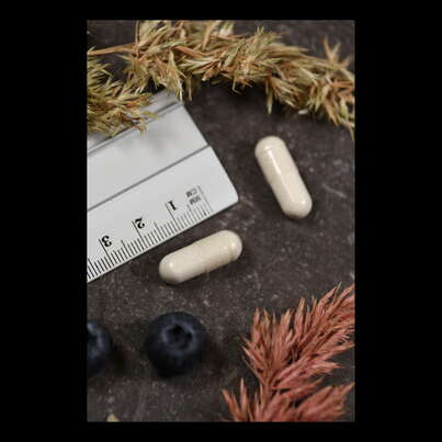 Sie sehen eine Packung Supplementa Mega-Multi-Mineral Kapseln, Produktbild: 04 Supplementa Mega-Multi-Mineral Kapseln, A-Nr.: 5574177 - 04