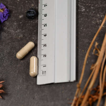 Sie sehen eine Packung Supplementa Mexican Wild Yam Wurzelextrakt 275 mg Kapseln, Produktbild: 04 Supplementa Mexican Wild Yam Wurzelextrakt 275 mg Kapseln, A-Nr.: 5574220 - 04