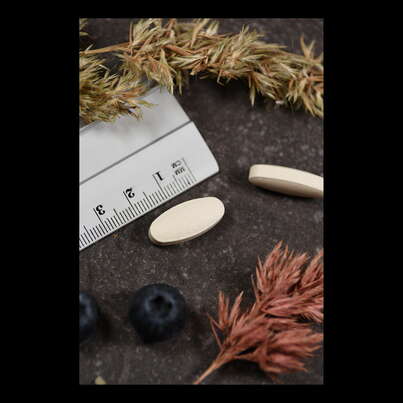 Sie sehen eine Packung Supplementa MSM & Glucosamin Tabletten, Produktbild: 05 Supplementa MSM & Glucosamin Tabletten, A-Nr.: 5597221 - 05