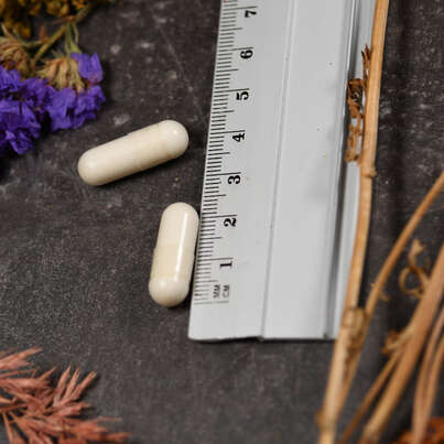 Sie sehen eine Packung Supplementa L-Carnitin 500 mg, Produktbild: 05 Supplementa L-Carnitin 500 mg, A-Nr.: 5597899 - 05