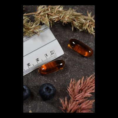 Sie sehen eine Packung Supplementa Lecithin 1200 mg Weichkapseln, Produktbild: 04 Supplementa Lecithin 1200 mg Weichkapseln, A-Nr.: 5396043 - 04