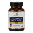 Sie sehen eine Packung Supplementa Liposomales Glutathion Kapseln, Produktbild: 01 Supplementa Liposomales Glutathion Kapseln, A-Nr.: 5596776 - 01