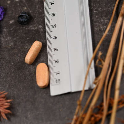 Sie sehen eine Packung Supplementa L-Lysin Free Form Tabletten, Produktbild: 04 Supplementa L-Lysin Free Form Tabletten, A-Nr.: 5574065 - 04