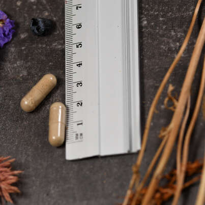 Sie sehen eine Packung Supplementa Löwenzahn (Dandelion-Root) Kapseln, Produktbild: 04 Supplementa Löwenzahn (Dandelion-Root) Kapseln, A-Nr.: 5574088 - 04