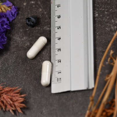 Sie sehen eine Packung Supplementa L-Phenylalanin 500 mg Kapseln, Produktbild: 05 Supplementa L-Phenylalanin 500 mg Kapseln, A-Nr.: 5597936 - 05