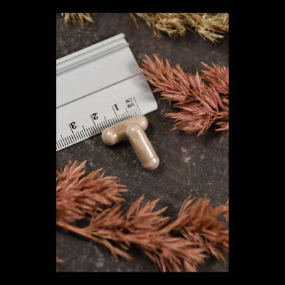 Sie sehen eine Packung Supplementa L-Rhamnosus Plus Kapseln, Produktbild: 05 Supplementa L-Rhamnosus Plus Kapseln, A-Nr.: 5596552 - 05