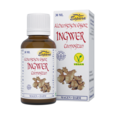 Sie sehen eine Packung Espara Ingwer Compositum Alchemistische Essenz, Produktbild: 01 Espara Ingwer Compositum Alchemistische Essenz, A-Nr.: 4040060 - 01