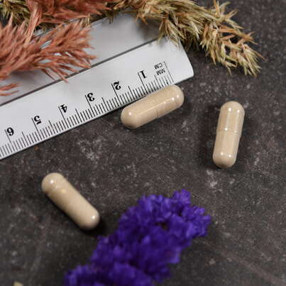 Sie sehen eine Packung Supplementa Intolerance Complex™ Kapseln, Produktbild: 04 Supplementa Intolerance Complex™ Kapseln, A-Nr.: 5395546 - 04