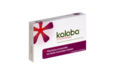 Sie sehen eine Packung Kaloba® 20 mg Filmtabletten, Produktbild: 01 Kaloba® 20 mg Filmtabletten, A-Nr.: 4958585 - 01