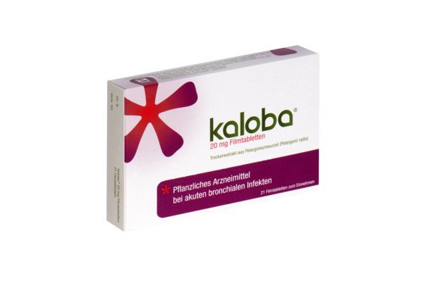 Sie sehen eine Packung Kaloba® 20 mg Filmtabletten, Produktbild: 01 Kaloba® 20 mg Filmtabletten, A-Nr.: 4958585 - 01