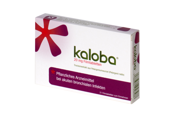 Sie sehen eine Packung Kaloba® 20 mg Filmtabletten, Produktbild: 02 Kaloba® 20 mg Filmtabletten, A-Nr.: 4958585 - 02
