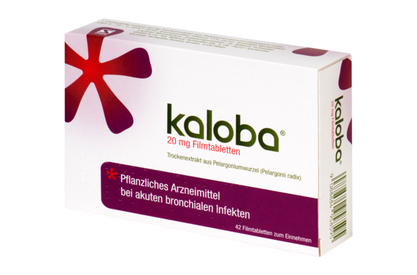 Sie sehen eine Packung Kaloba® 20 mg Filmtabletten, Produktbild: 02 Kaloba® 20 mg Filmtabletten, A-Nr.: 4958591 - 02